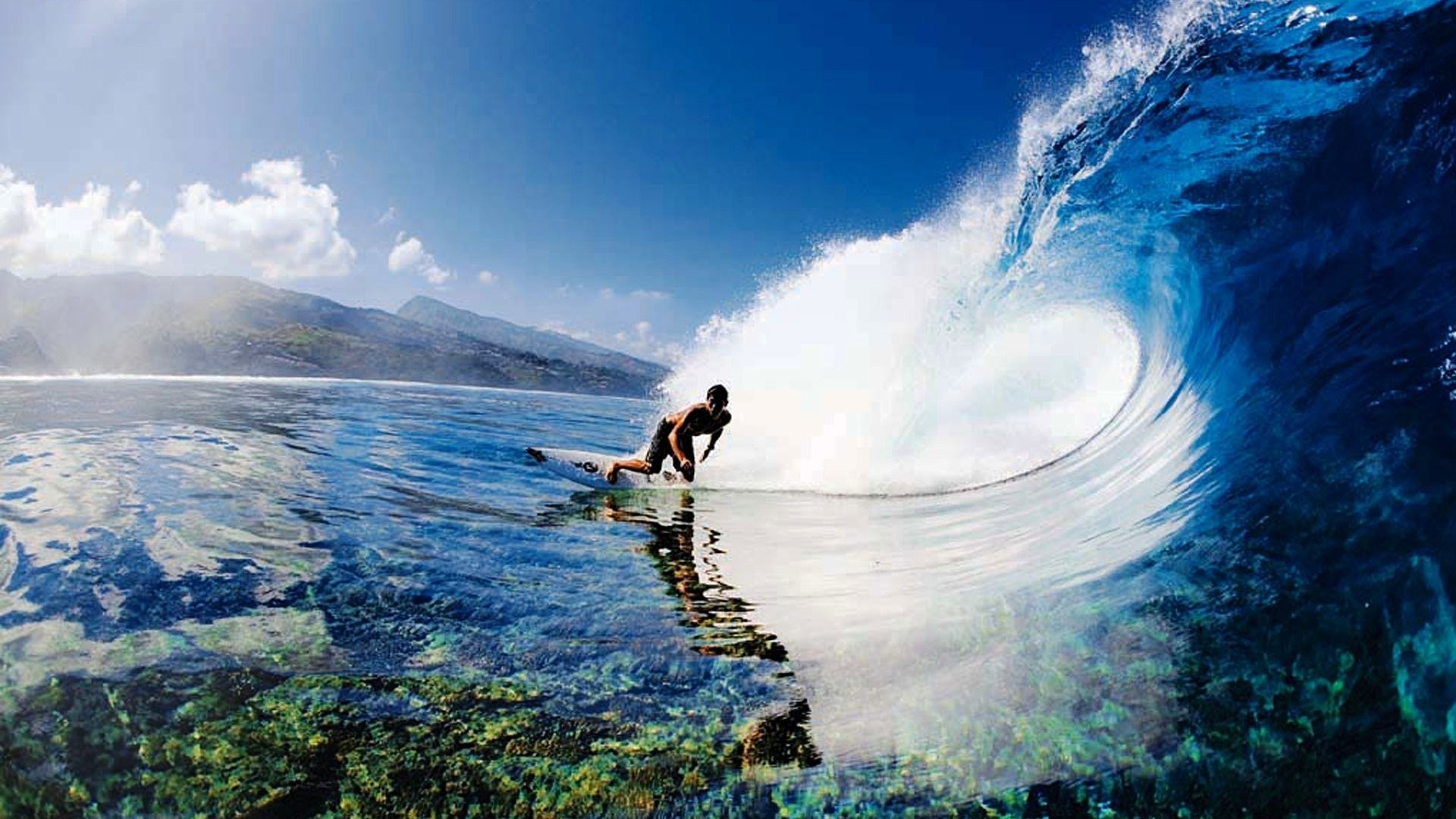 Surfing